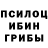 Псилоцибиновые грибы прущие грибы Sergo138 Yakovenko
