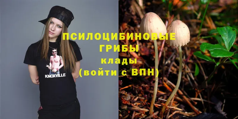 Галлюциногенные грибы Magic Shrooms  Емва 