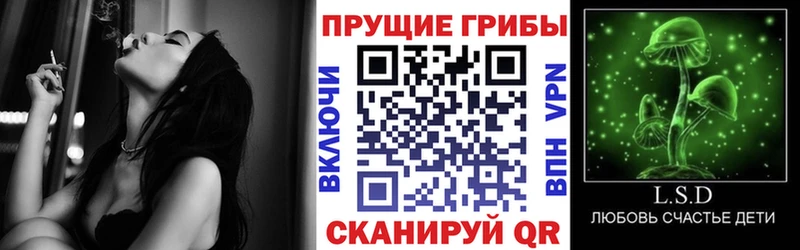 ОМГ ОМГ зеркало  Емва  Псилоцибиновые грибы GOLDEN TEACHER 
