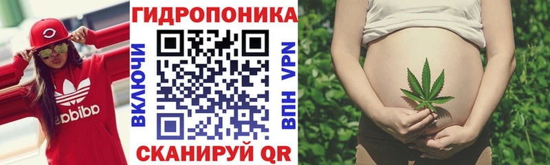 Шишки марихуана Bruce Banner  купить закладку  Емва 